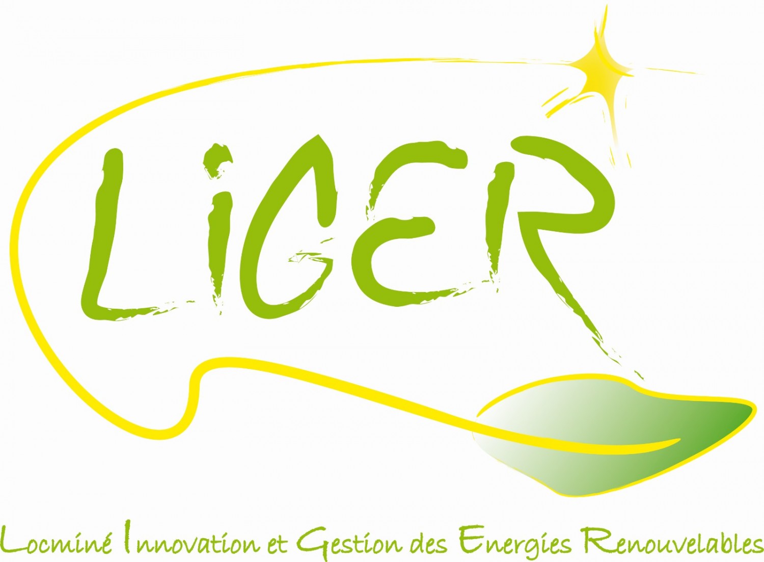 LOGO-LIGER.jpg